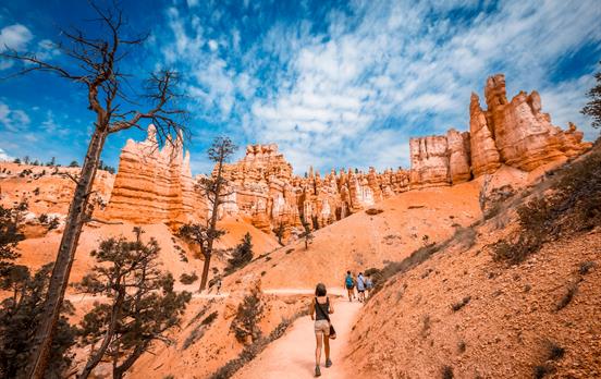 Discover beautiful rock formations in Bryce
