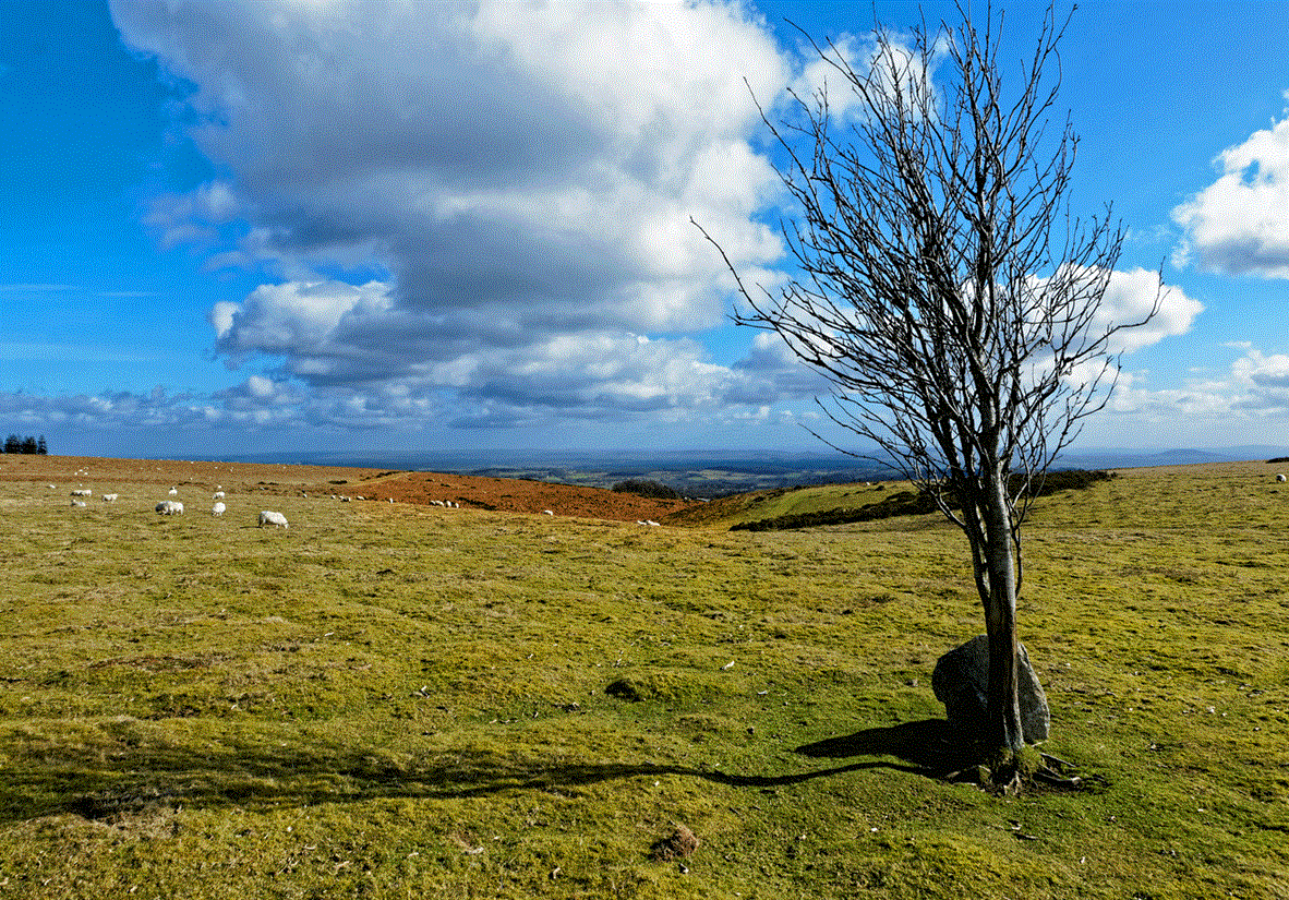 Welsh Marches