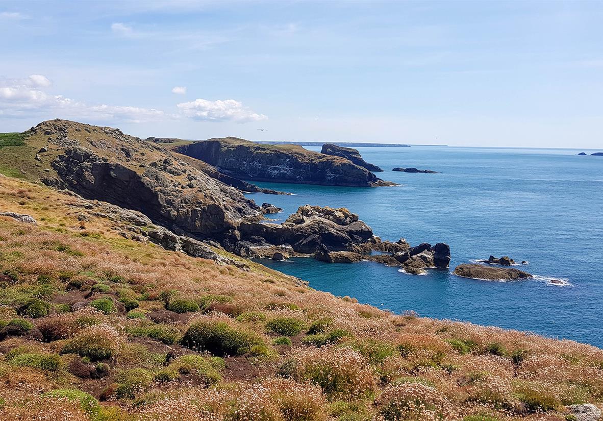 Blick über die Insel Skomer
