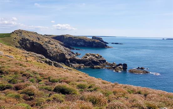 Blick über die Insel Skomer