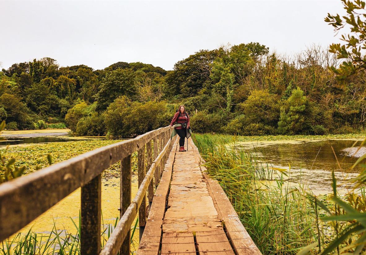 Bosherston lily ponds