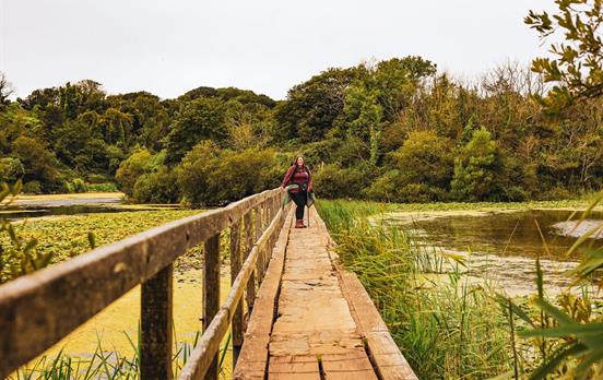 Bosherston lily ponds