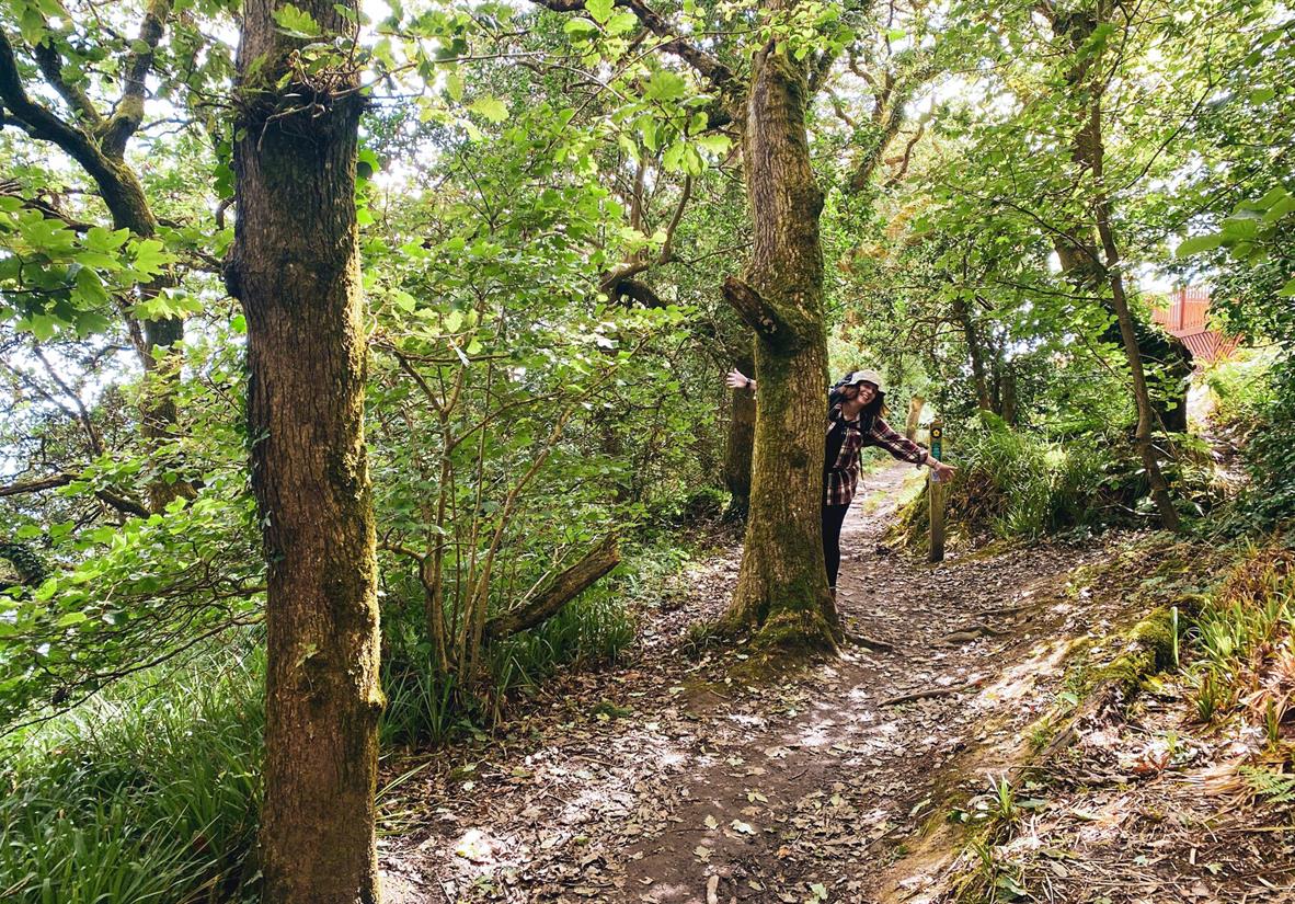 Wald bei Saundersfoot nach Tenby