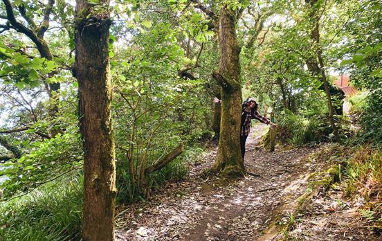 Woodland Saundersfoot to Tenby