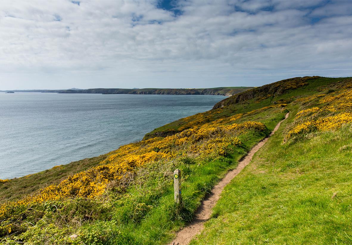 Unterwegs auf dem Pembrokeshire Küstenpfad