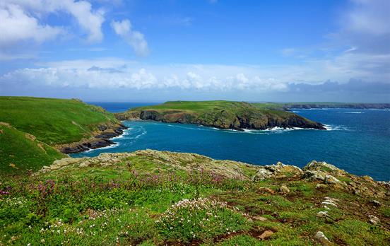 Blick über die Insel Skomer