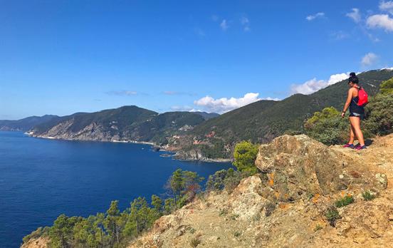 Looking north up the coast