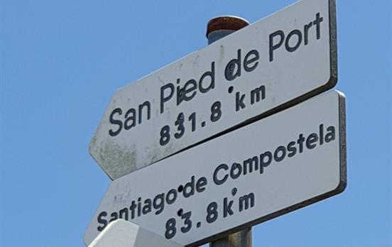 Wie viele Kilometer haben Sie zurück gelegt?