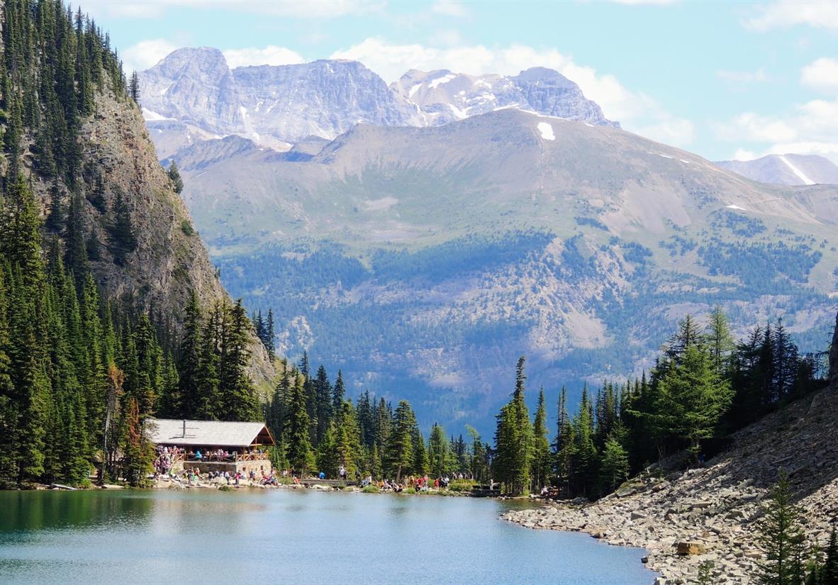 Hike to the Lake Agnes Teahouse