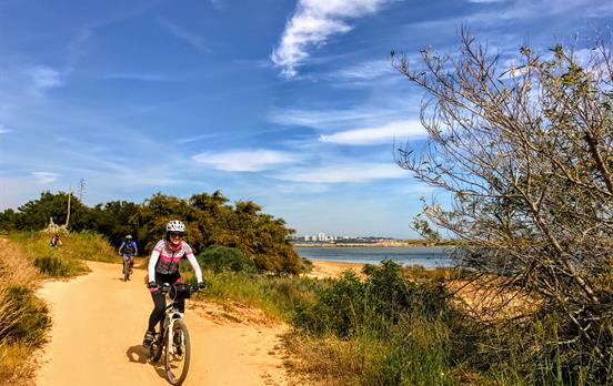 Cycling along coastal tracks