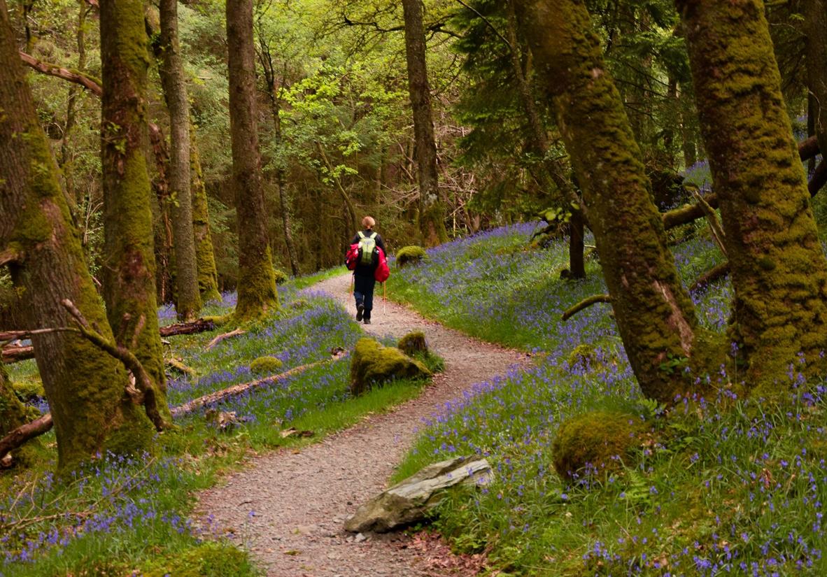 Solo walker on West Highland Way