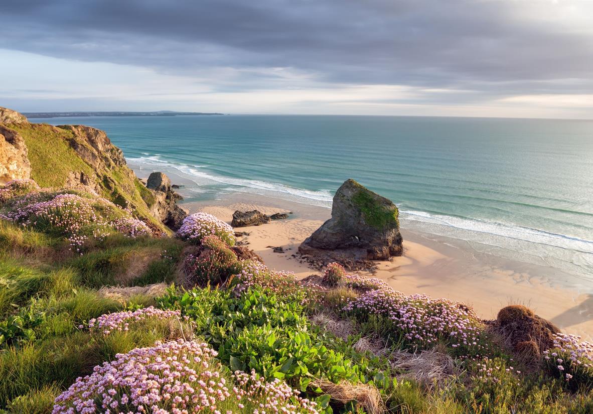 Early summer wildflower beach