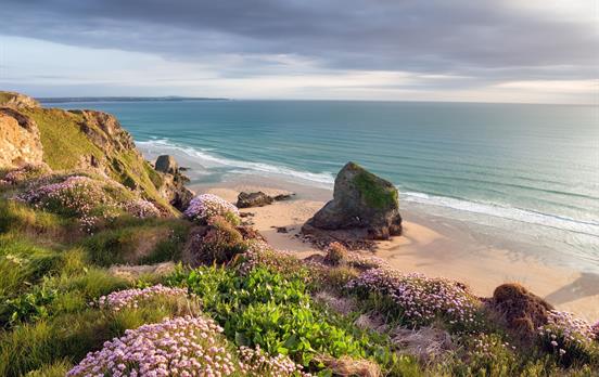 Early summer wildflower beach