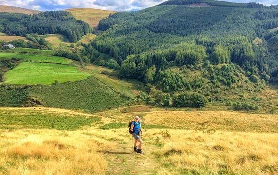 The lush greens and yellows of English dales
