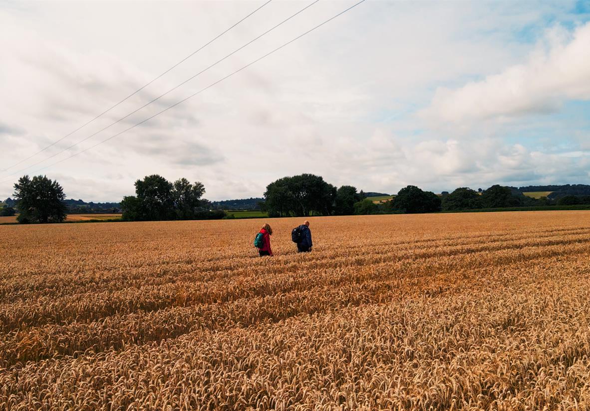 Classic self-guided walking in the Cotswolds