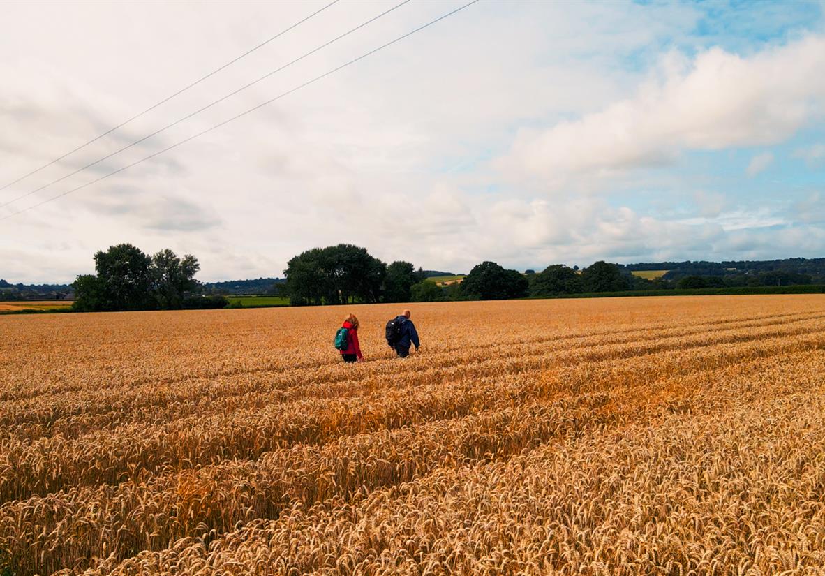 Classic self-guided walking in the Cotswolds