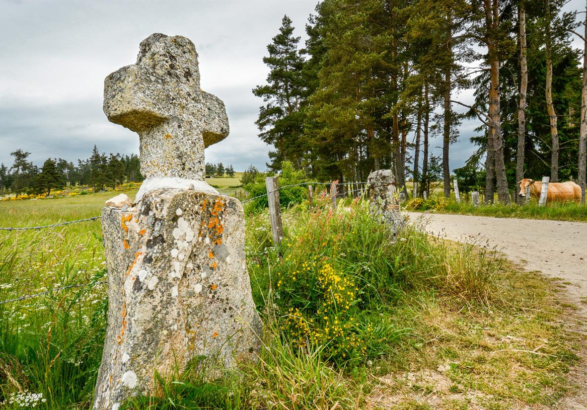 A stone cross on the side of the road, Aubrac