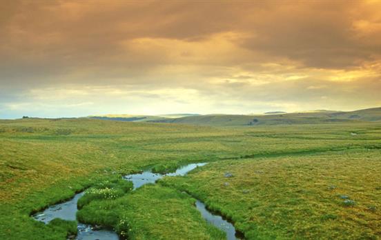 Aubrec Plateau