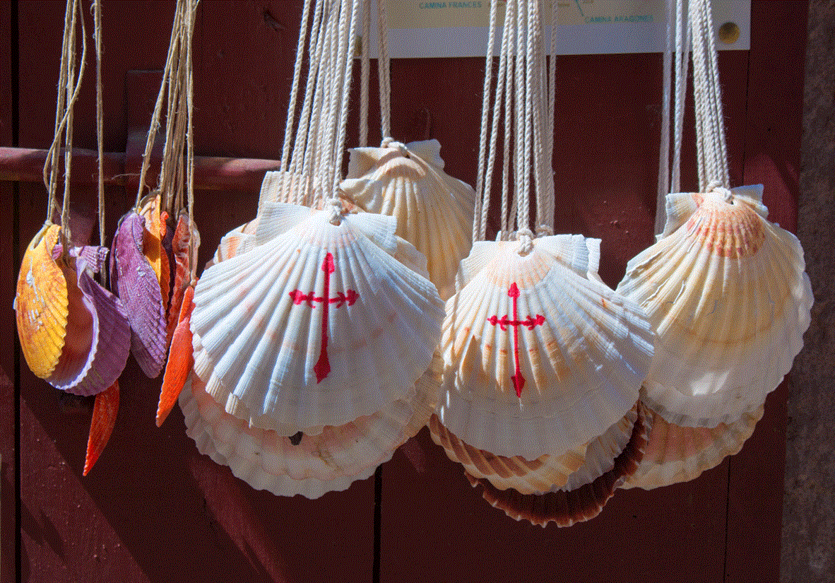 Painted Camino shells