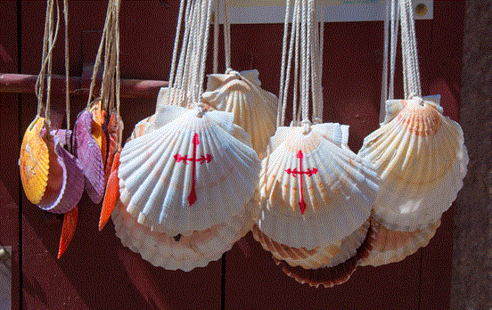 ss-1500-camino-shells