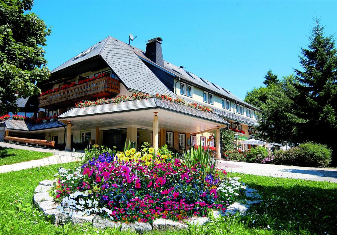 Walking and Wellness in the Black Forest