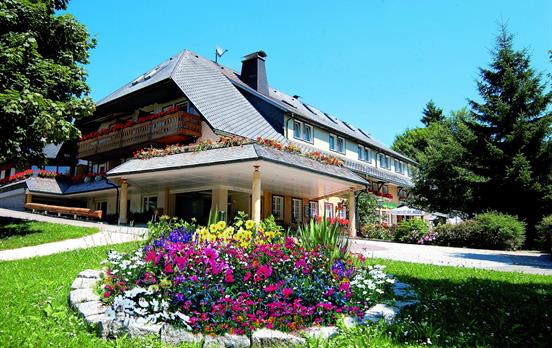 Walking and Wellness in the Black Forest