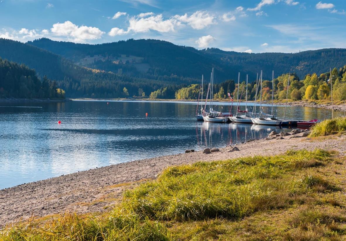 Unwind after a morning of fresh air and exercise