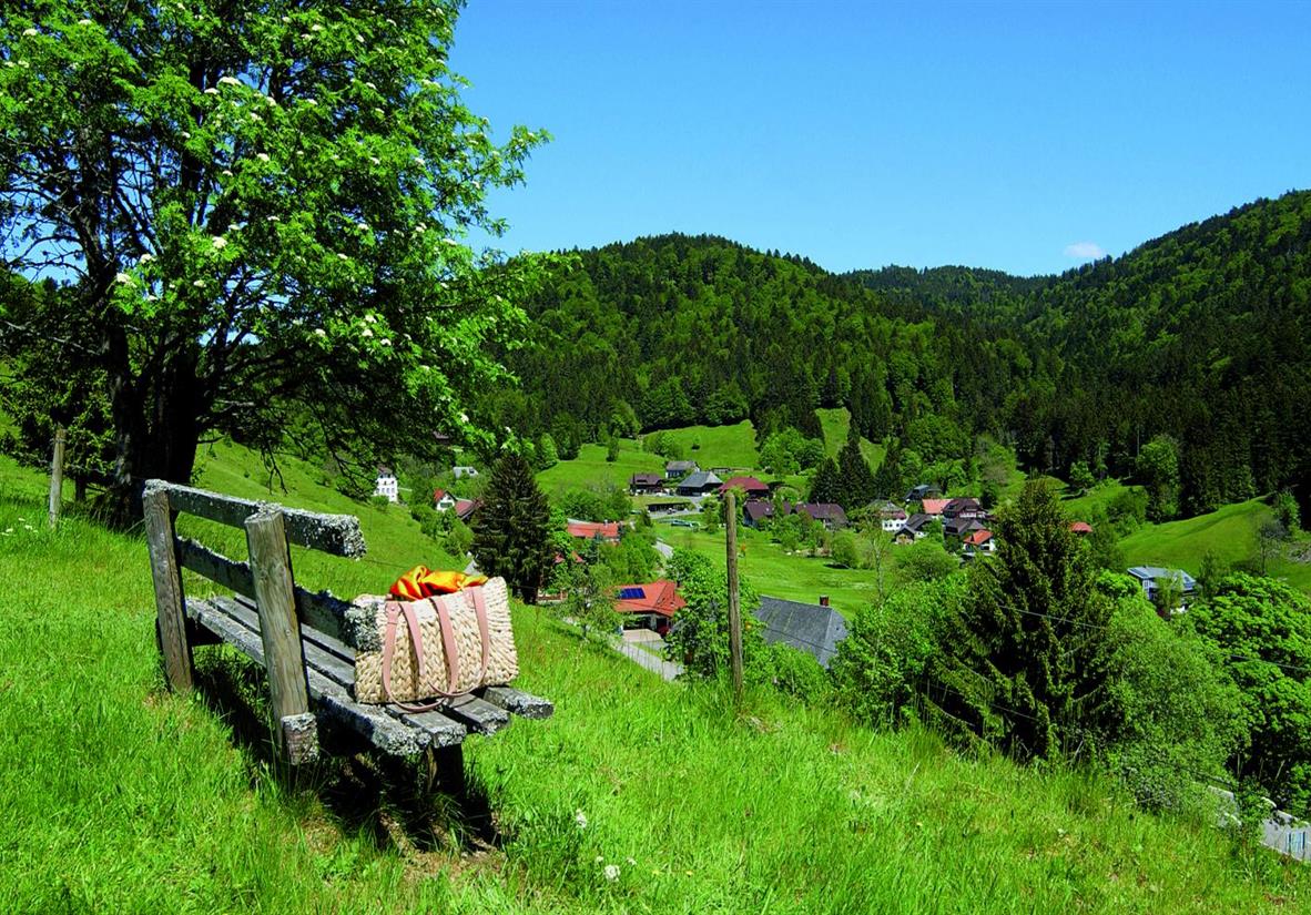 Enjoy beautiful scenes everywhere you look