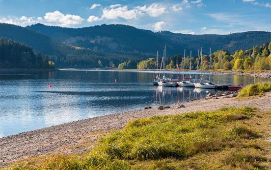 Tagestour zum Schluchsee