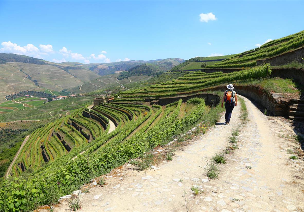Wandern durch terrassenförmige Weinberge