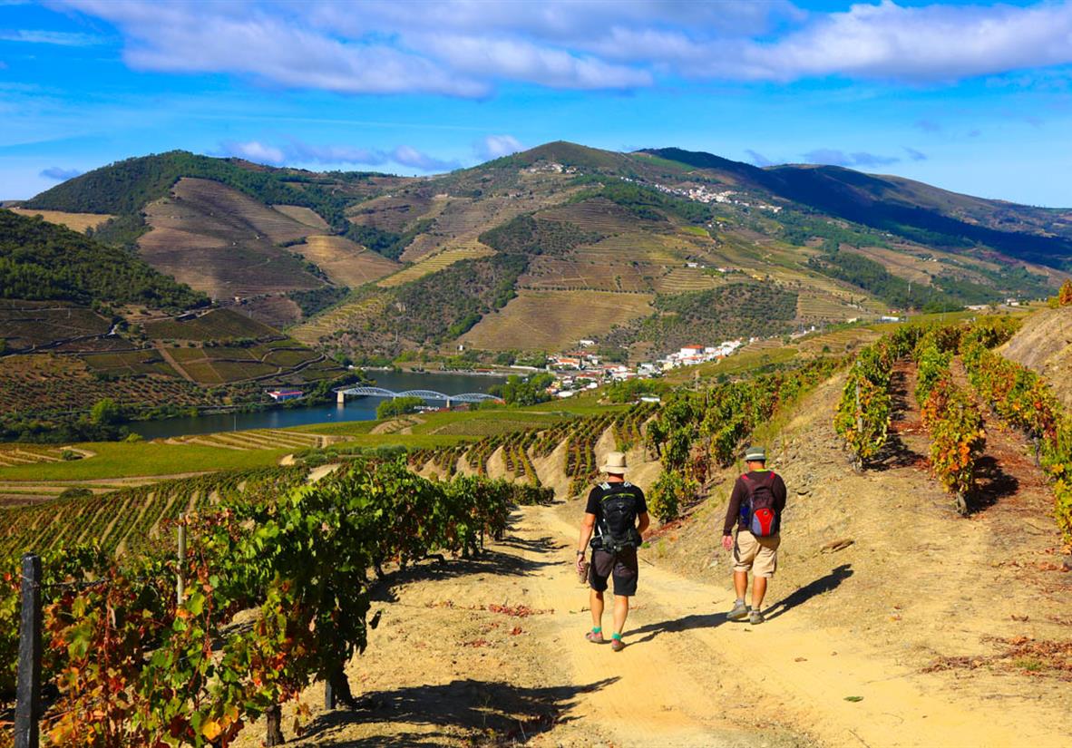 Weinberge und Weinkultur zu Fuss erkunden