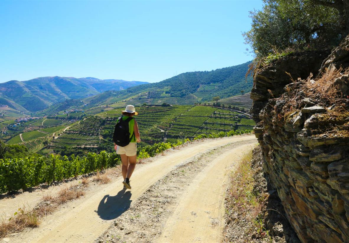 Wandern durch Weinberge