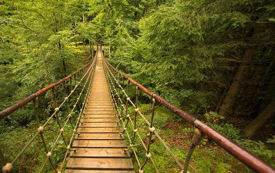 Hängebrücke am Rothaarsteg