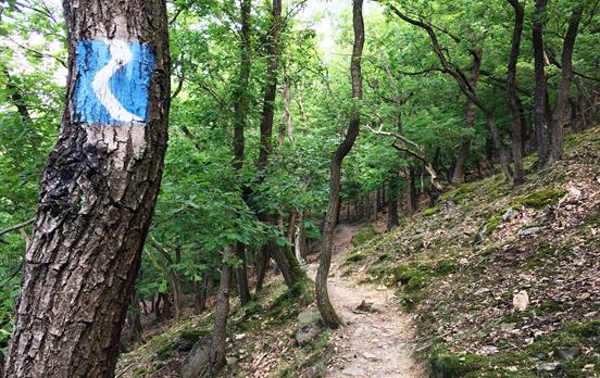 Zwischen Lorch und Rüdesheim