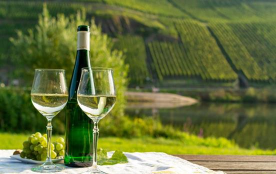 Qualitätswein aus dem Rheintal