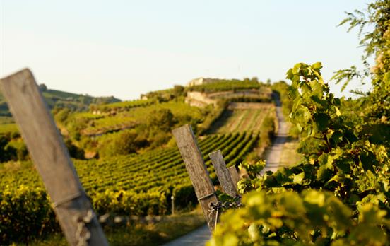 Zwischen Wald und Wein © Stadt Bad Dürkheim