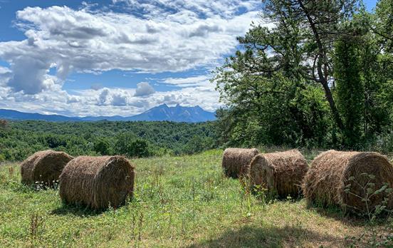 Lunigiana &amp; The Apuane Alps