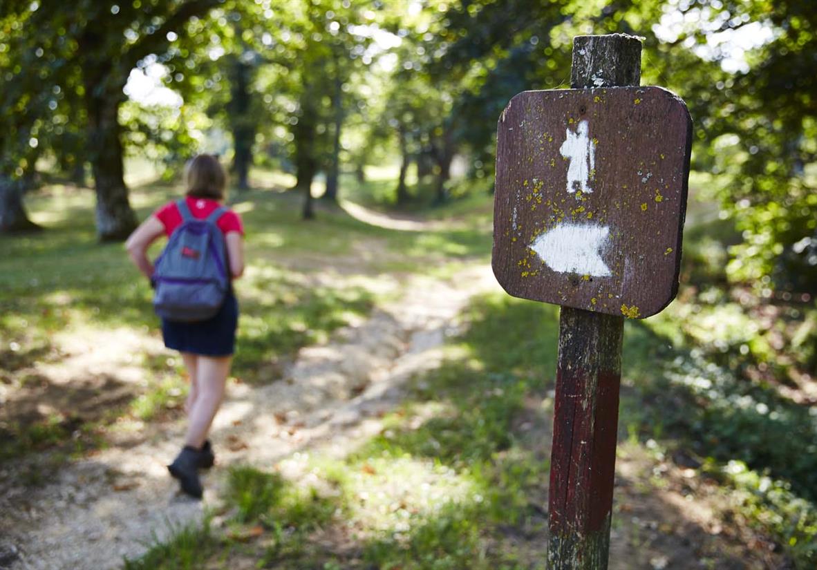 Wanderin auf der Via Francigena