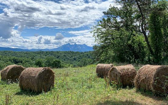 Die Apuanischen Alpen