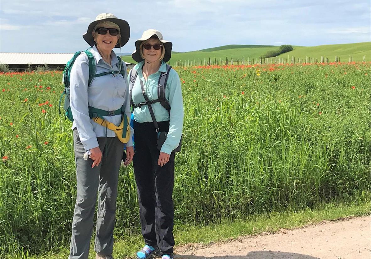 Wanderer auf der Via Francigena