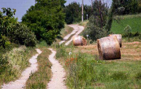 Auf der Via Francigena durch die Toskana