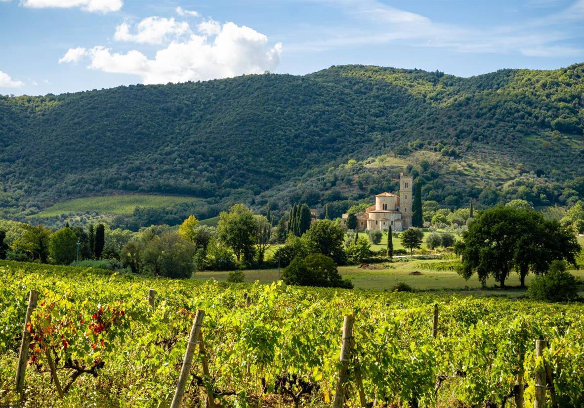 Blick auf Castelnuovo-dell-Abate