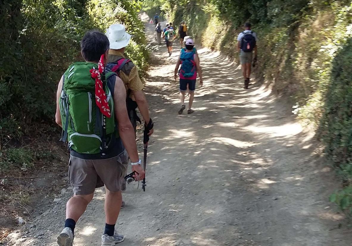 Wanderer auf der Via Franicgena