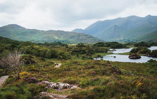 The way skirting around Killarney upper lakes
