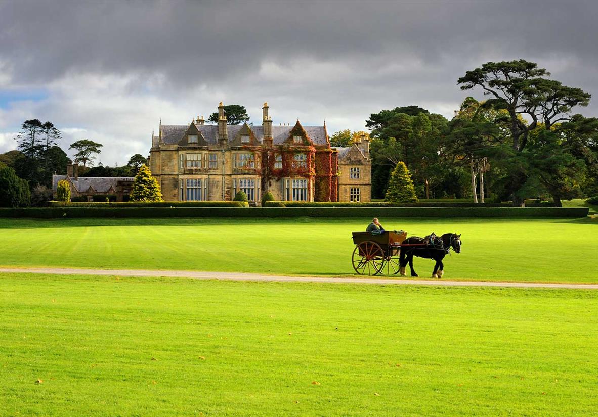 Kutsche am Muckross House