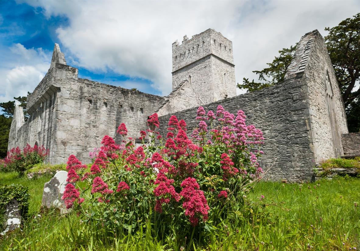 Muckross Abbey