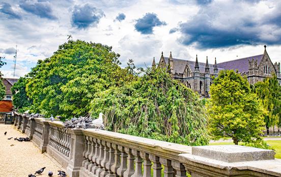 Irlands lebendige Hauptstadt Dublin