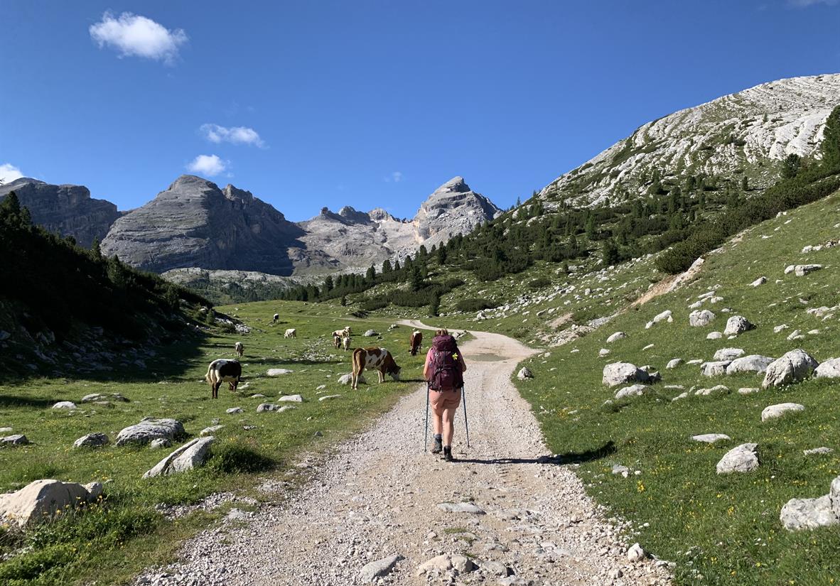 Walker enroute to Refugio Scotoni