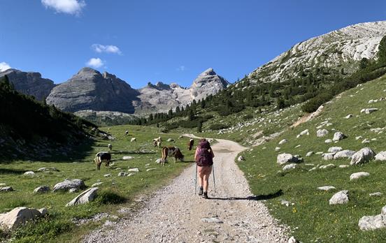 Walker enroute to Refugio Scotoni