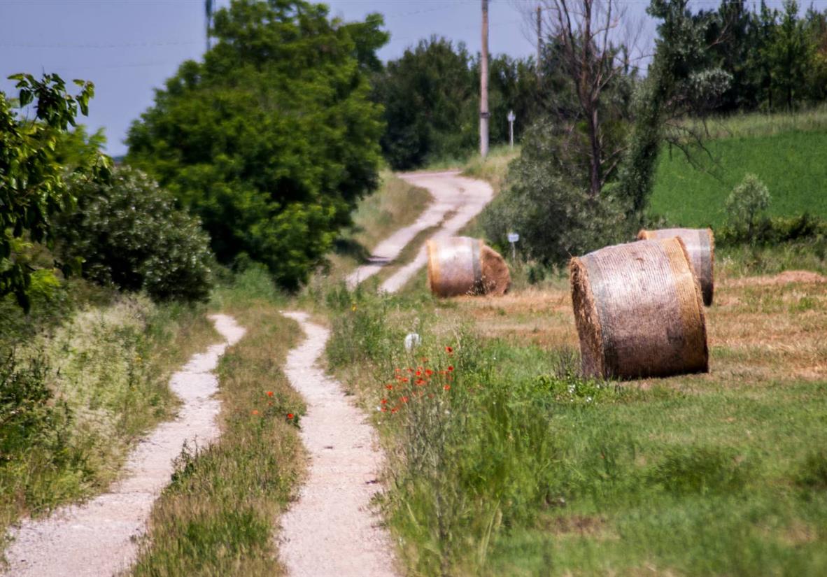 Follow the Via Francigena through Tuscany